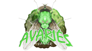 avaries-vanier-3